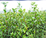 內頁banner